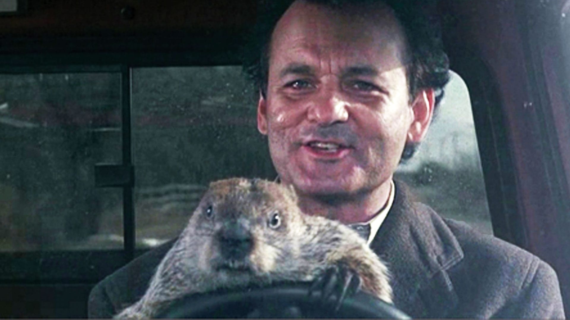 Groundhog-Day