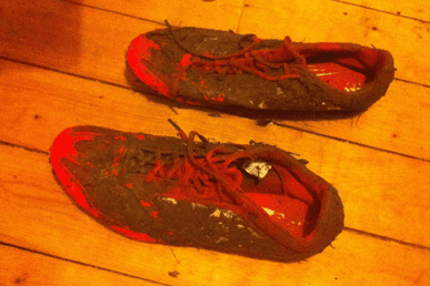 Spikes after a cross country race last year